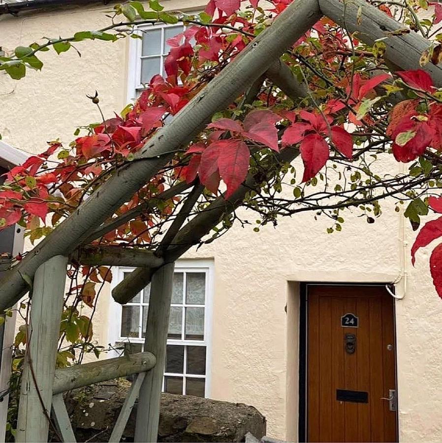 Lotte'S Cottage Bideford Exteriér fotografie